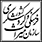 شاهین-پرواز