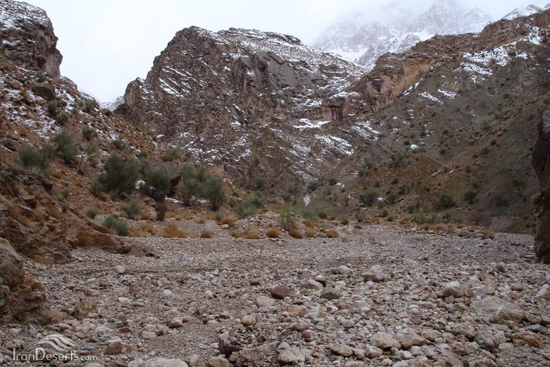 مناطق حفاظت شده کرمان 