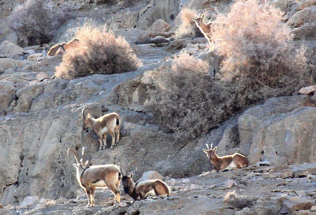 مناطق حفاظت شده اصفهان 