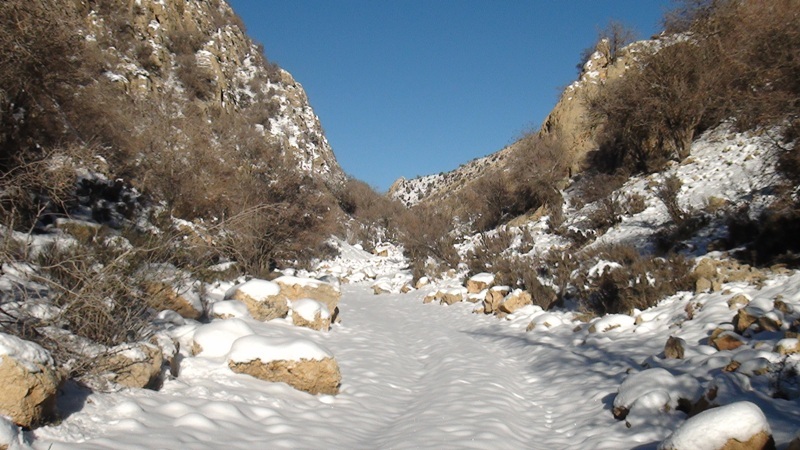 کوهای شیراز 